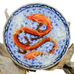 Decorative Dragon Plate 17