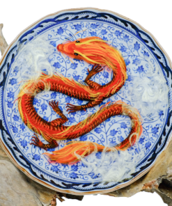 Decorative Dragon Plate 17