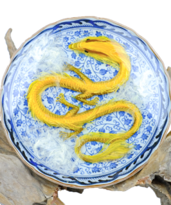 Decorative Dragon Plate 18