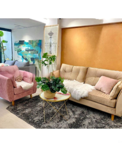 Velvet Sofa Set A0108-0007