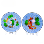 Decorative Fish Plate 09