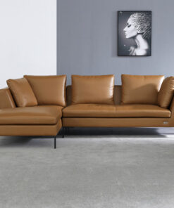 Brown Sectional Couches A0107-0025